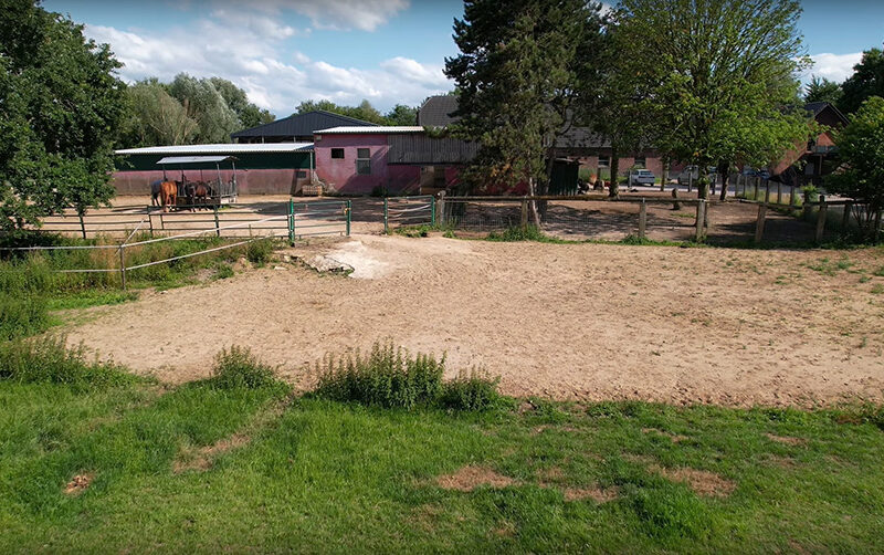 royal_horses_issum_home_05